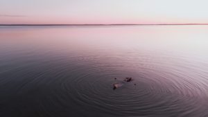 Ripple effect of mindset, Photo by Janke Laskowski on Unsplash